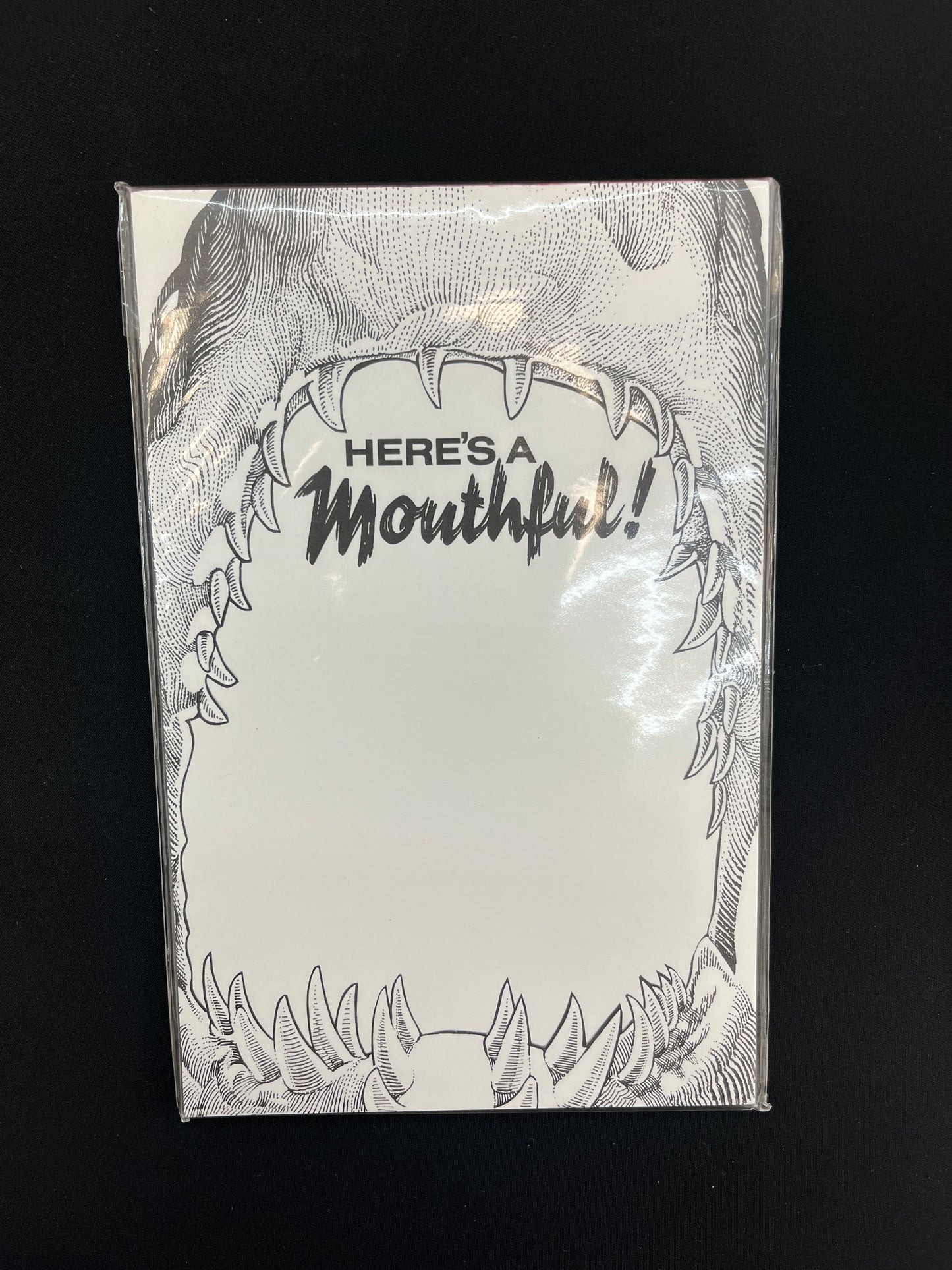 Pink Door Store Notebook