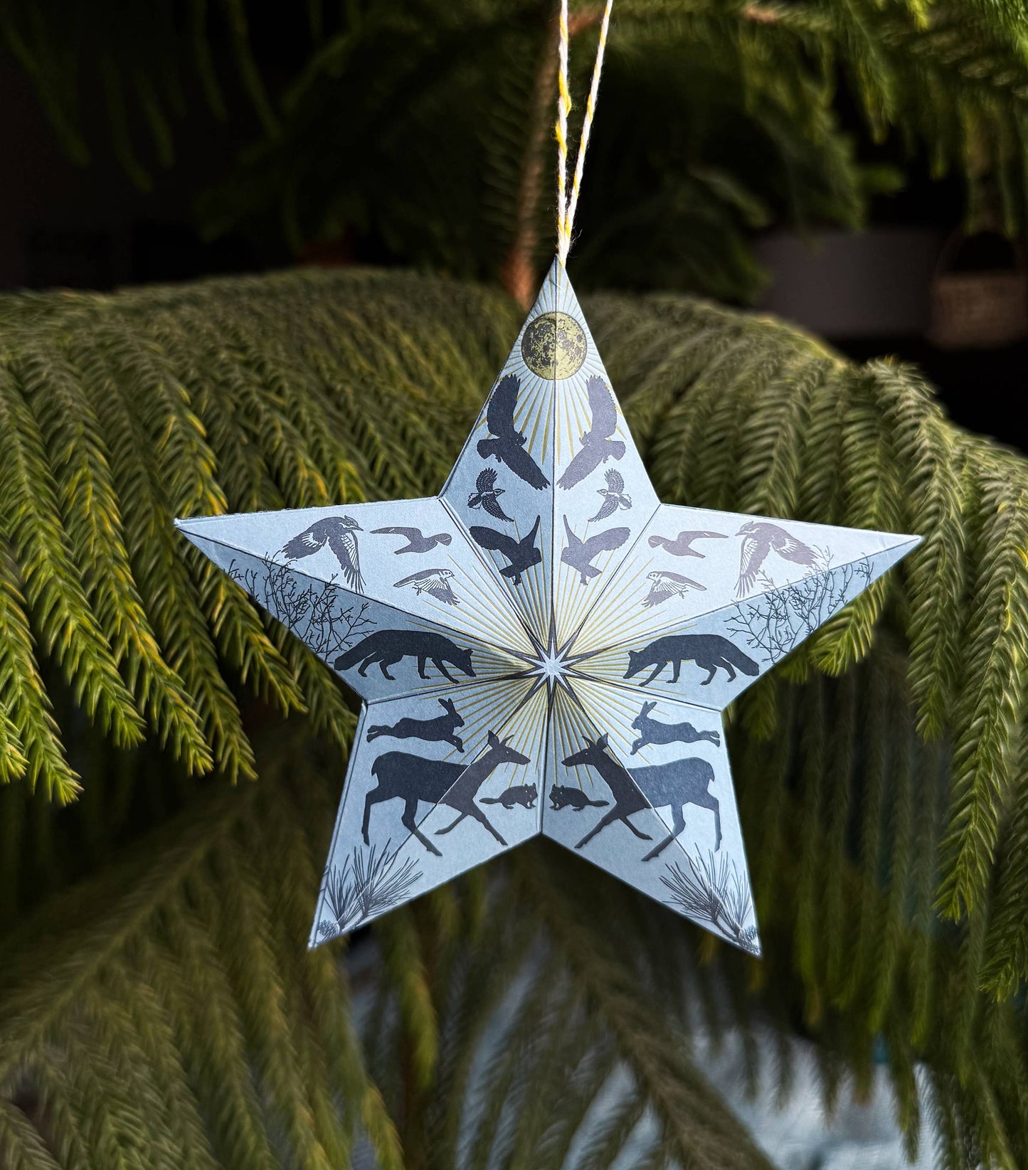 Holiday Solstice star DIY ornament kit