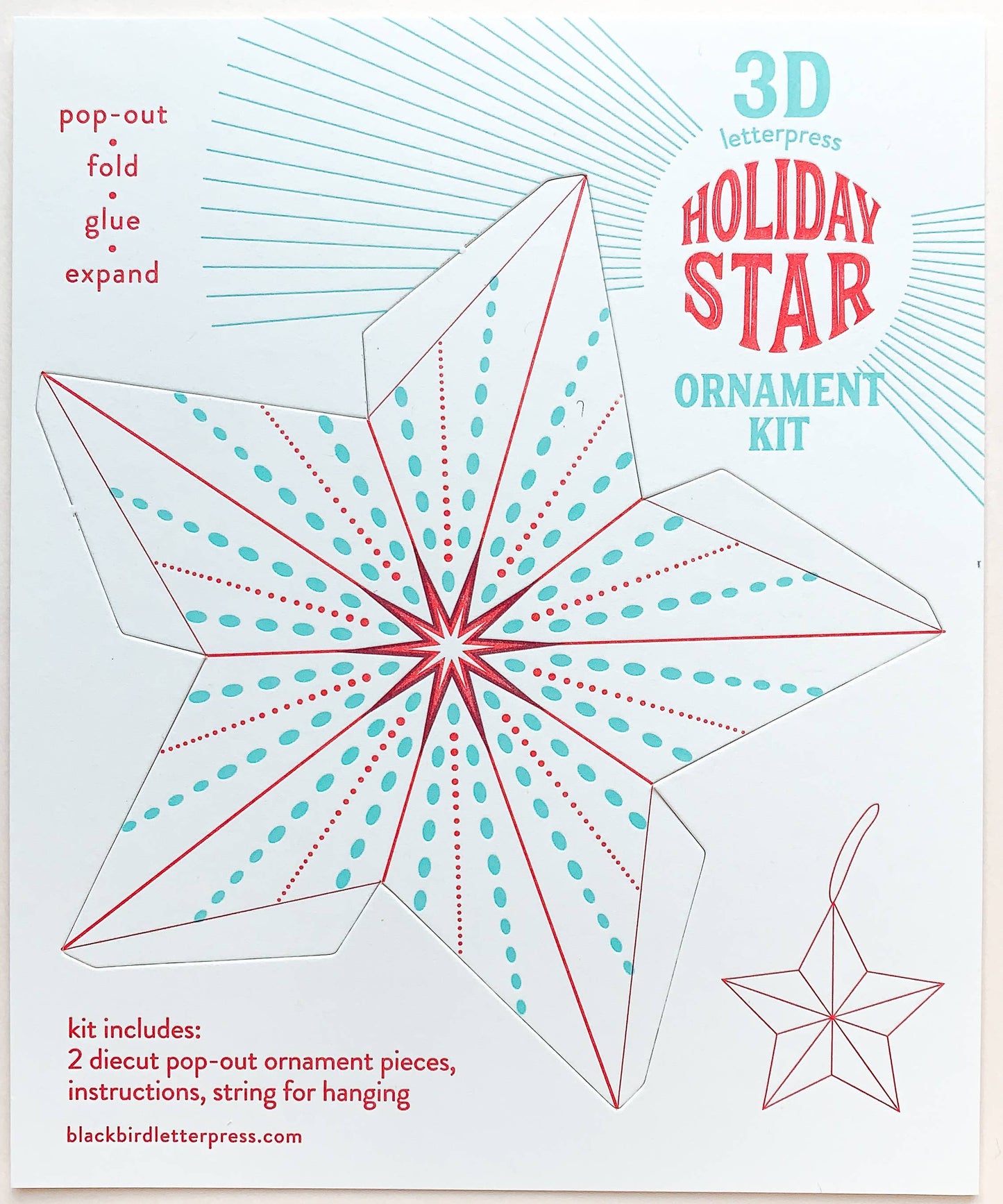 Dotted star DIY ornament kit