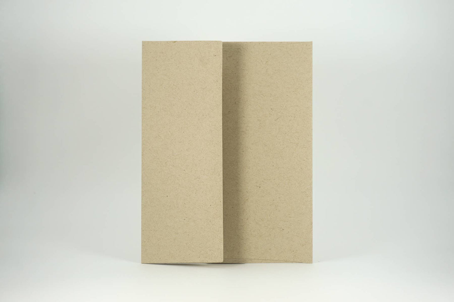 Thank You Beary Much Greeting Card