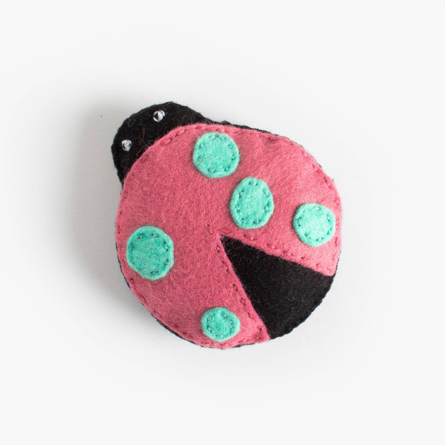 Addie the Unusual Ladybug - DIY Craft Kit