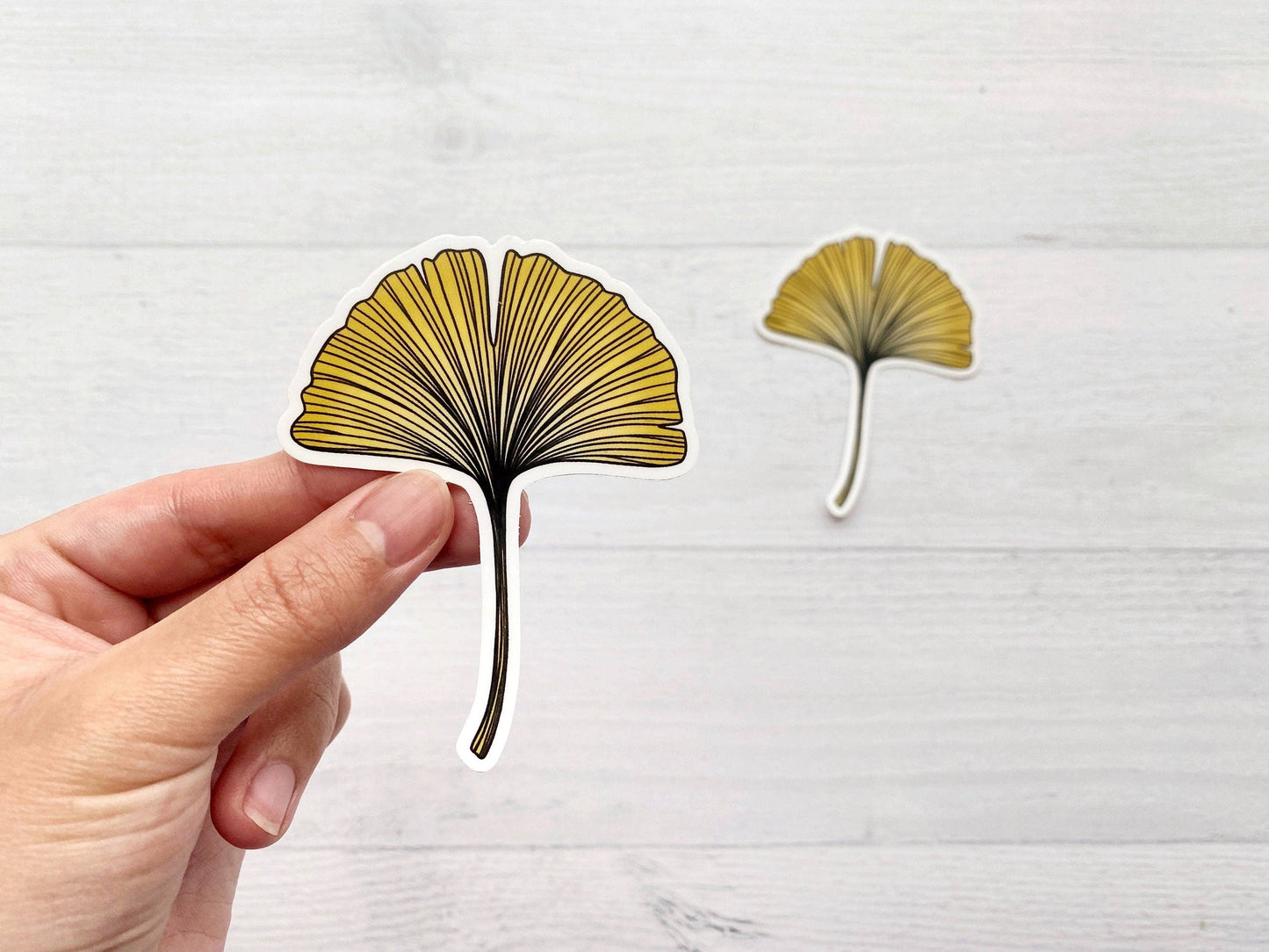 Ginkgo Leaf Vinyl Sticker