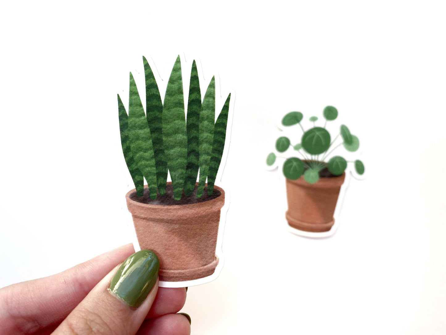 Sansevieria Potted Plant Vinyl Sticker