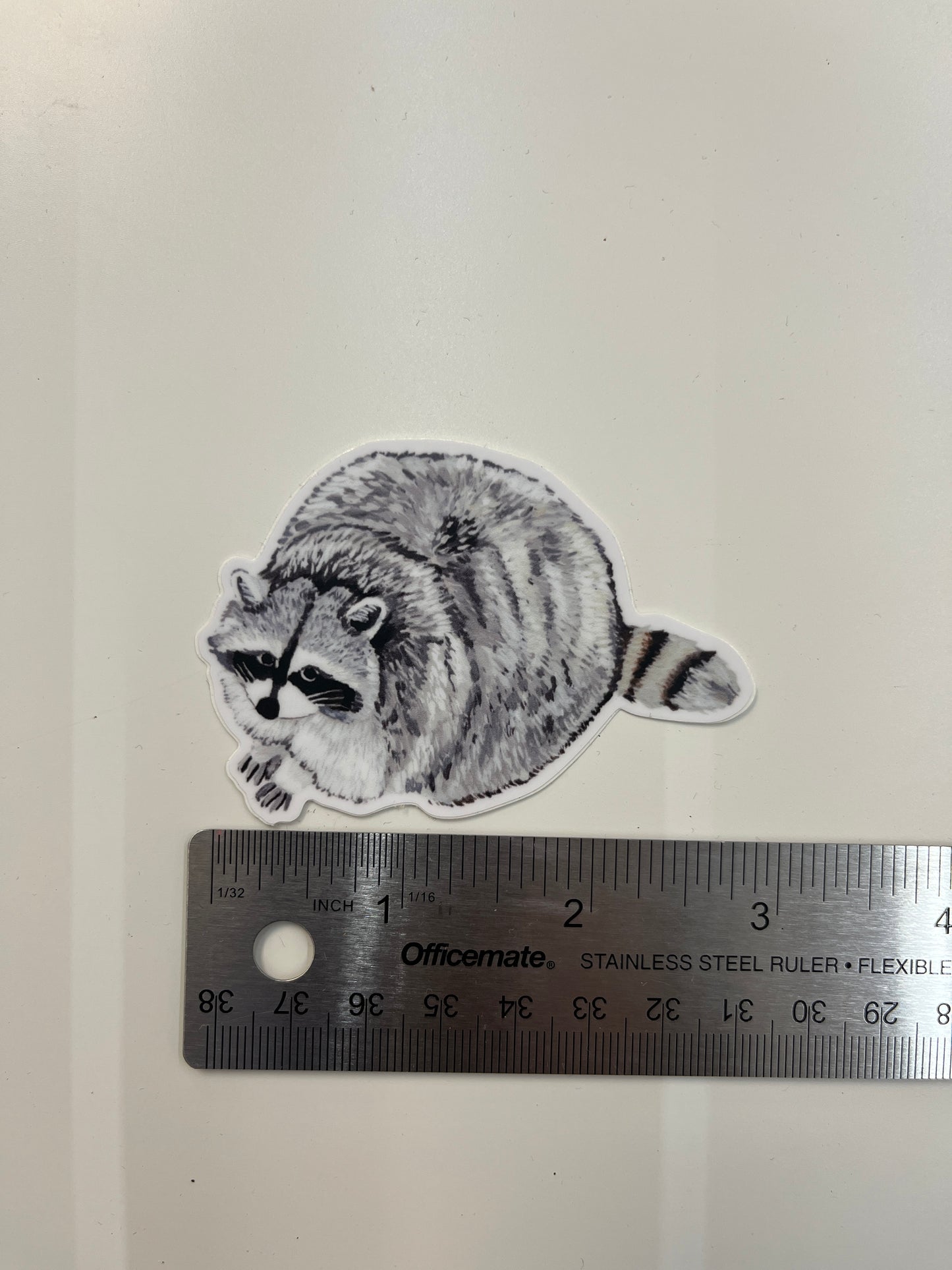 Raccoon Sticker