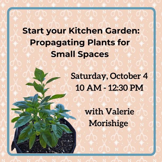 Start your Kitchen Garden: Propagating Plants for Small Spaces - 10/4