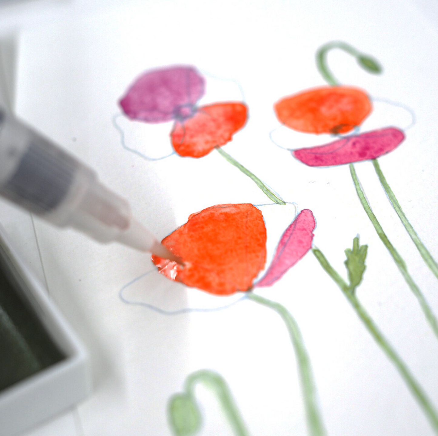 Kuretake Exploring Watercolor - How to paint flowers