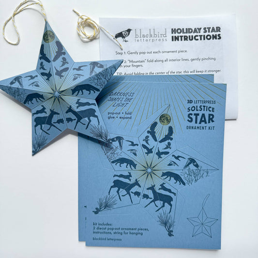 Holiday Solstice star DIY ornament kit