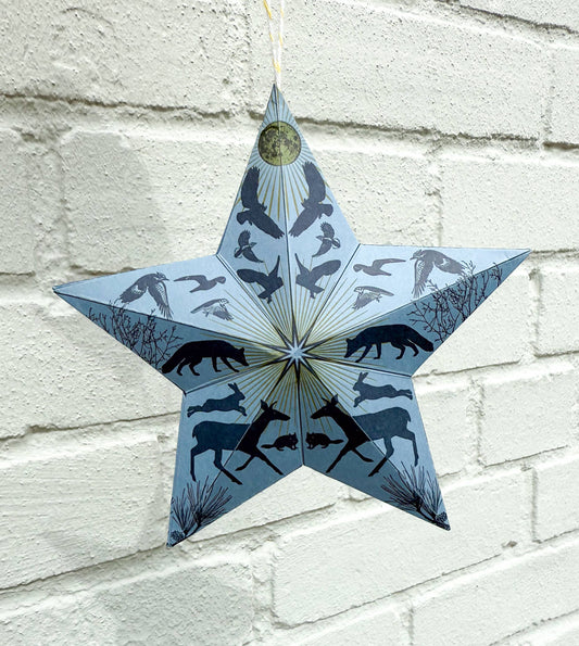 Holiday Solstice star DIY ornament kit