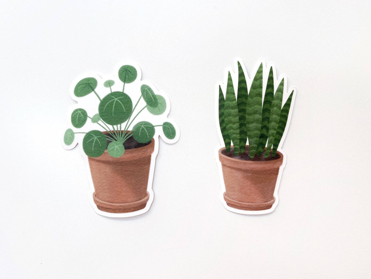 Sansevieria Potted Plant Vinyl Sticker